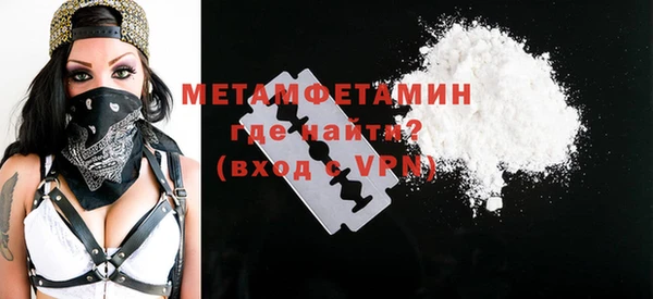 гидра Каменка