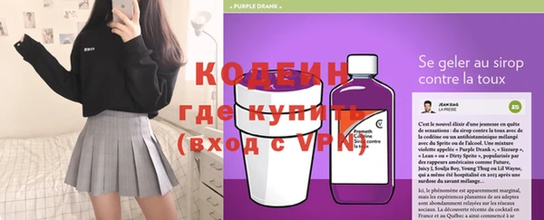 гидра Каменка