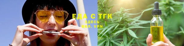 гидра Каменка