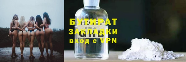 гидра Каменка