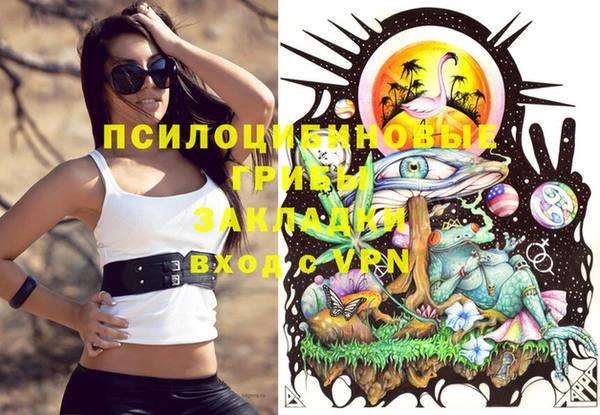 молекула духа Каменногорск