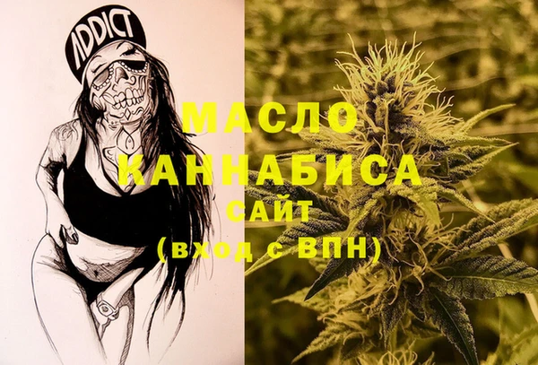 гидра Каменка