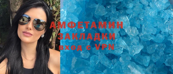 гидра Каменка
