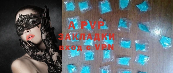 гидра Каменка