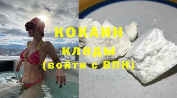 гидра Каменка