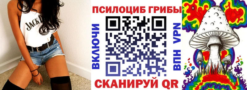 Псилоцибиновые грибы Cubensis  Купить где  Губкинский 